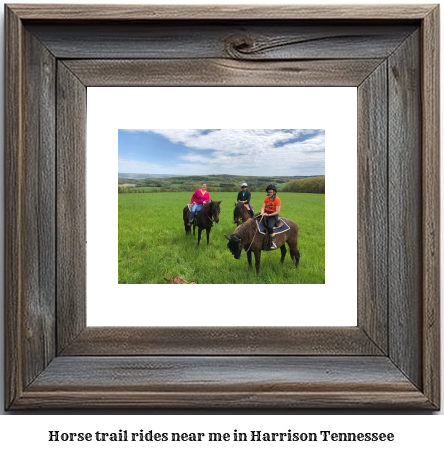 horse trail rides near me in Harrison, Tennessee